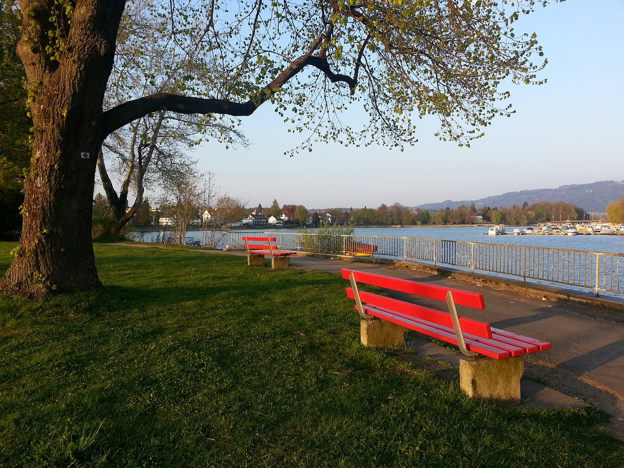 的可能性 的可能性