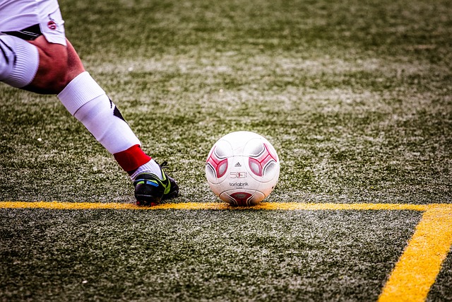 为球队提供 为球队提供