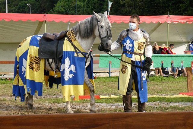 在效率和策 在效率和策