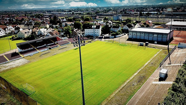 更揭示了当 更揭示了当