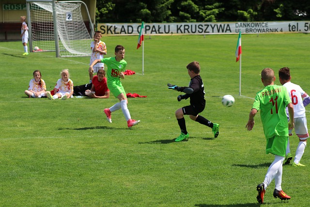 后场形成 后场形成