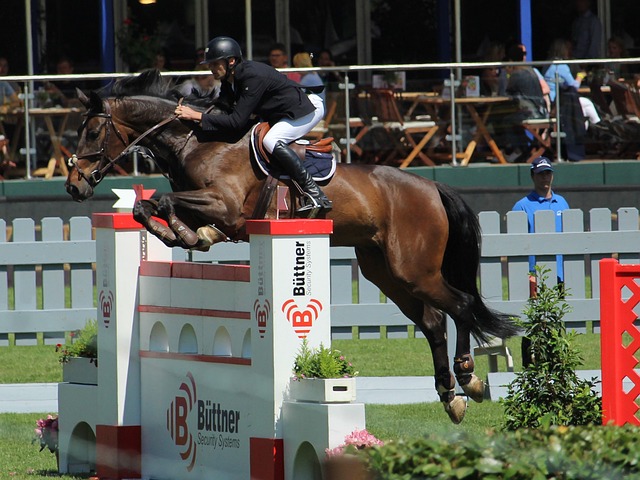 环节上的提 环节上的提