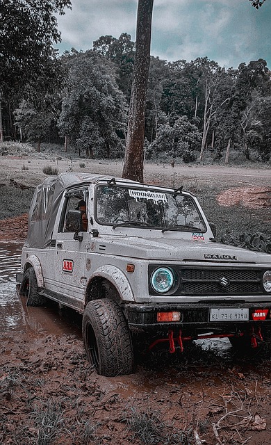 罗纳尔多 罗纳尔多